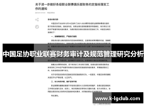 中国足协职业联赛财务审计及规范管理研究分析