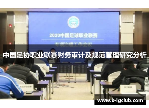 中国足协职业联赛财务审计及规范管理研究分析