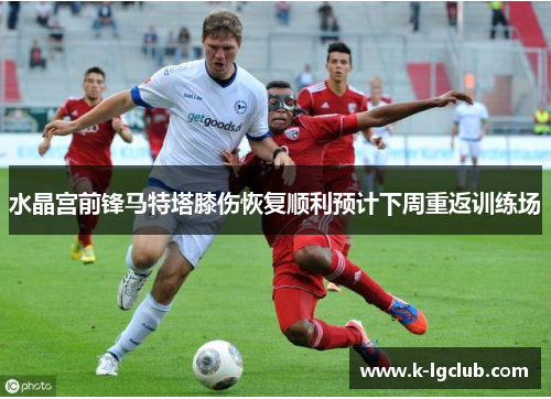 水晶宫前锋马特塔膝伤恢复顺利预计下周重返训练场 水晶宫前锋马特塔膝伤恢复顺利预计下周重返训练场